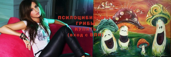 дживик Армянск